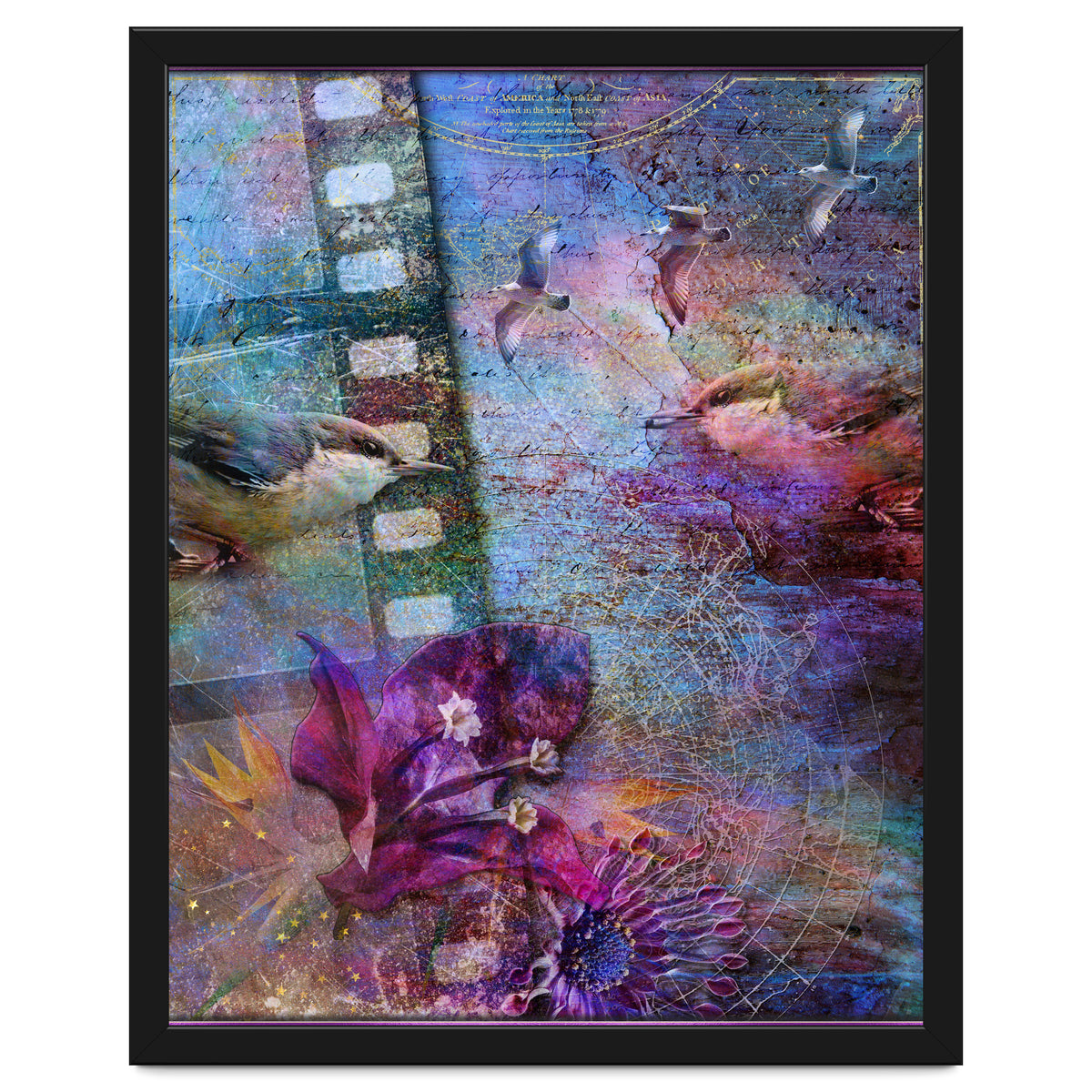 Watching the Wild World