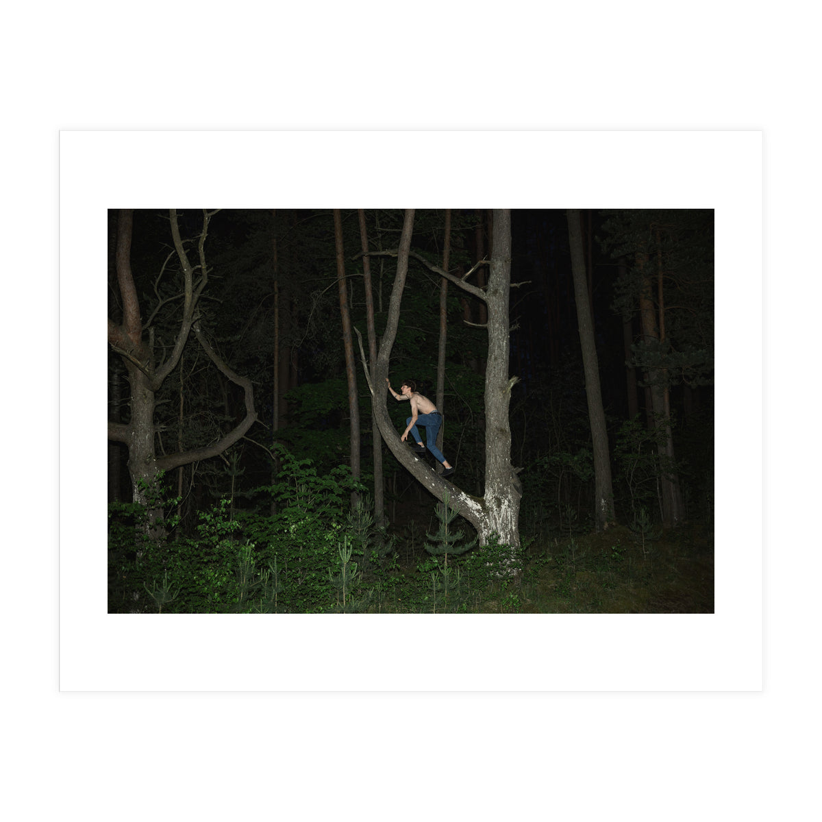 Night Crawler (Print Only)