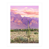 Cactus Sunset (Print Only) thumbnail