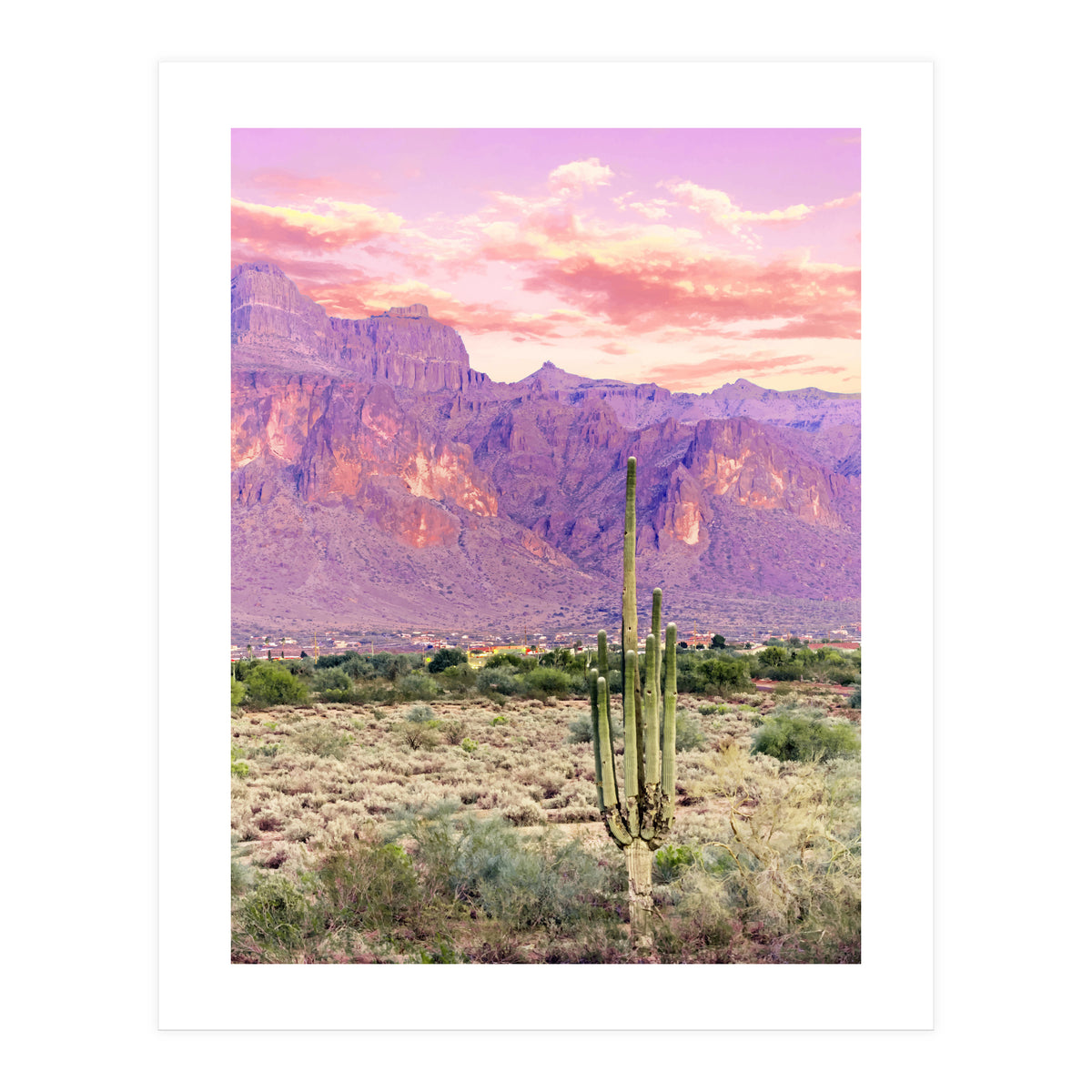 Cactus Sunset (Print Only)