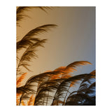 Sunset in autumn (Print Only) thumbnail