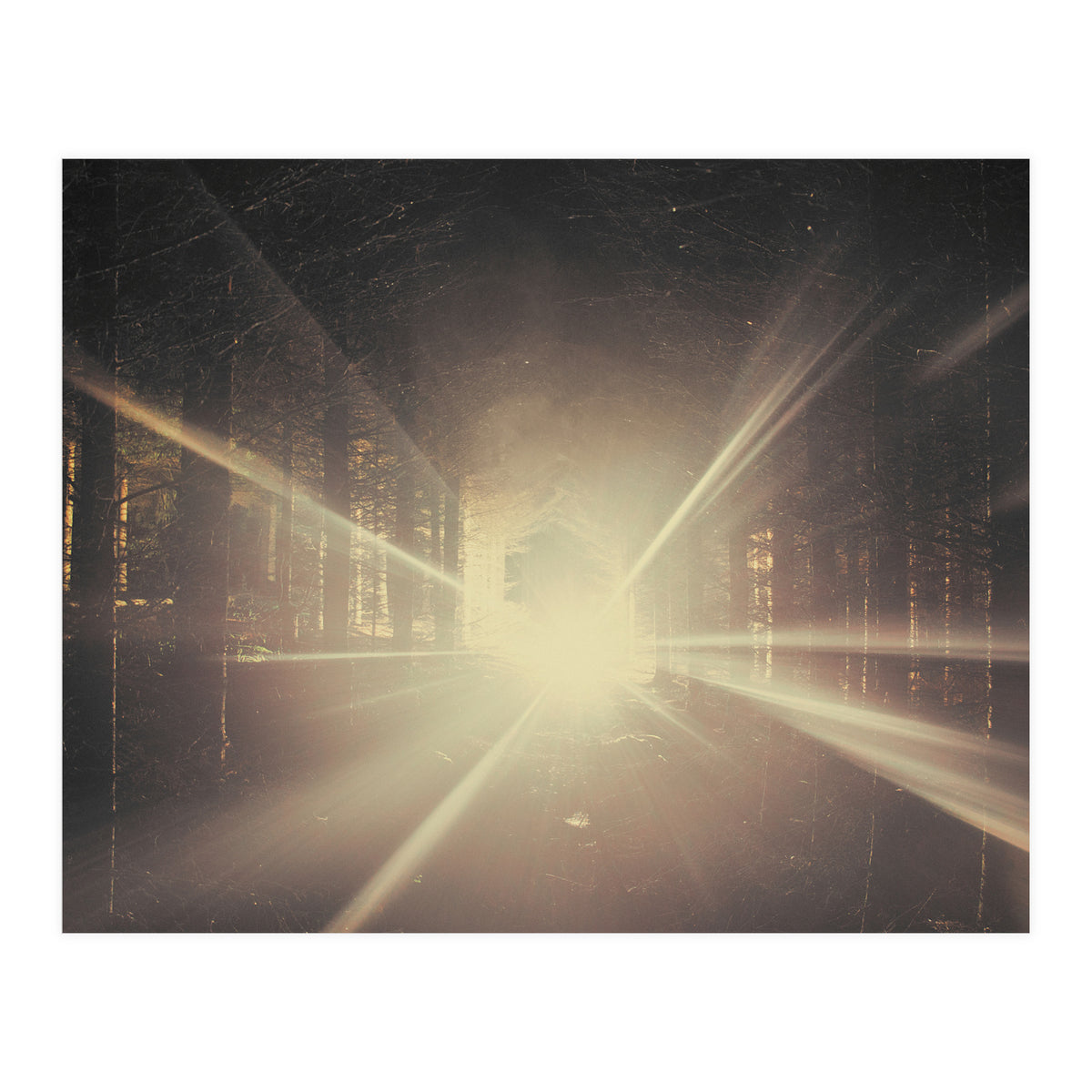 Why is Summer Mist Romantic and Autumn Mist just Sad? (Print Only)