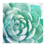 Rough Beauty 1 (Print Only) thumbnail