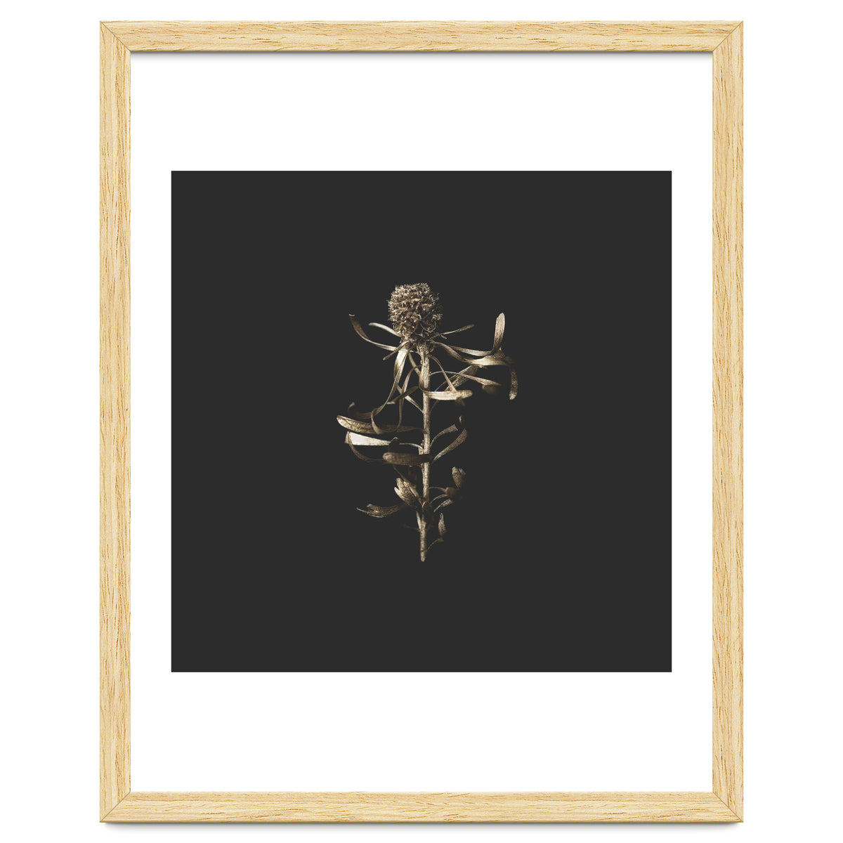 Golden Botanicals -  Square