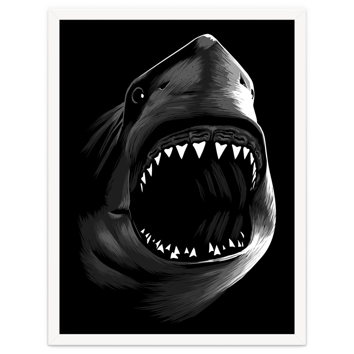Megalodon