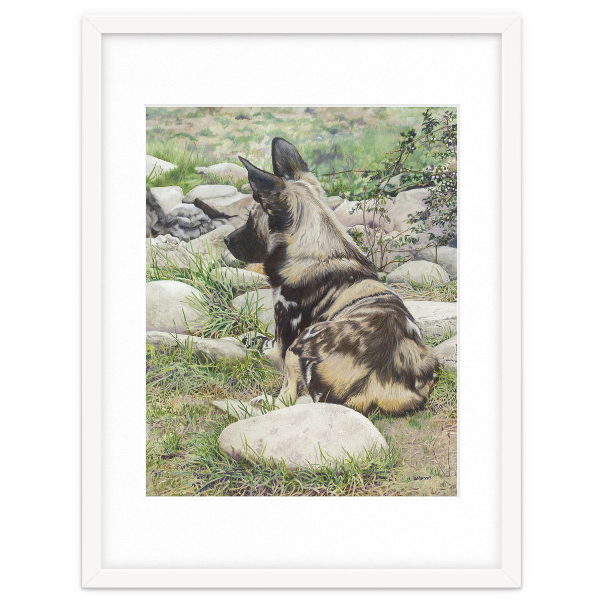 African Painted Dog I