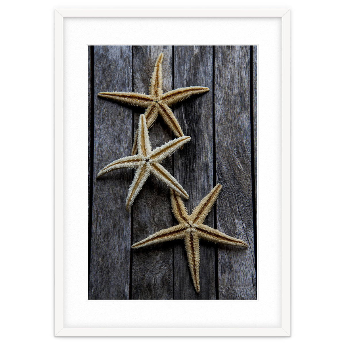 Starfishes in wooden