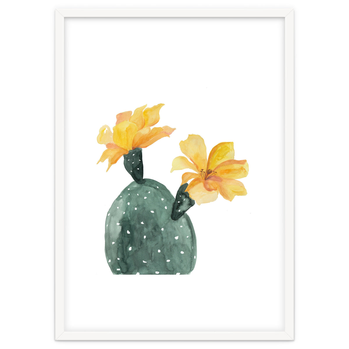 Botanical Illustration Yellow Cactus Flowers