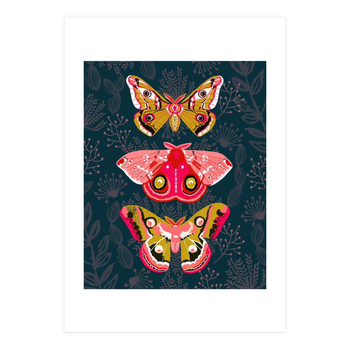 Lepidoptery Study No. 4 (Print Only)