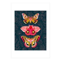 Lepidoptery Study No. 4 (Print Only)