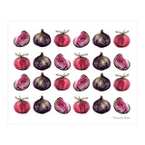 Apple & Figs (Print Only) thumbnail