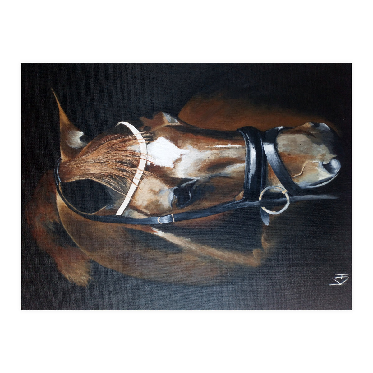 Magestic  (Print Only)