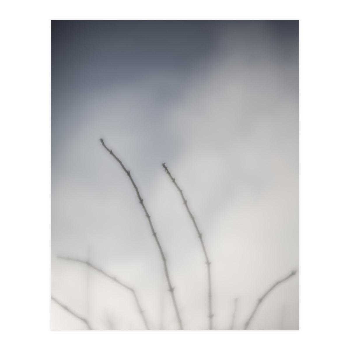 Forgotten Memories of summer #18 (Print Only)