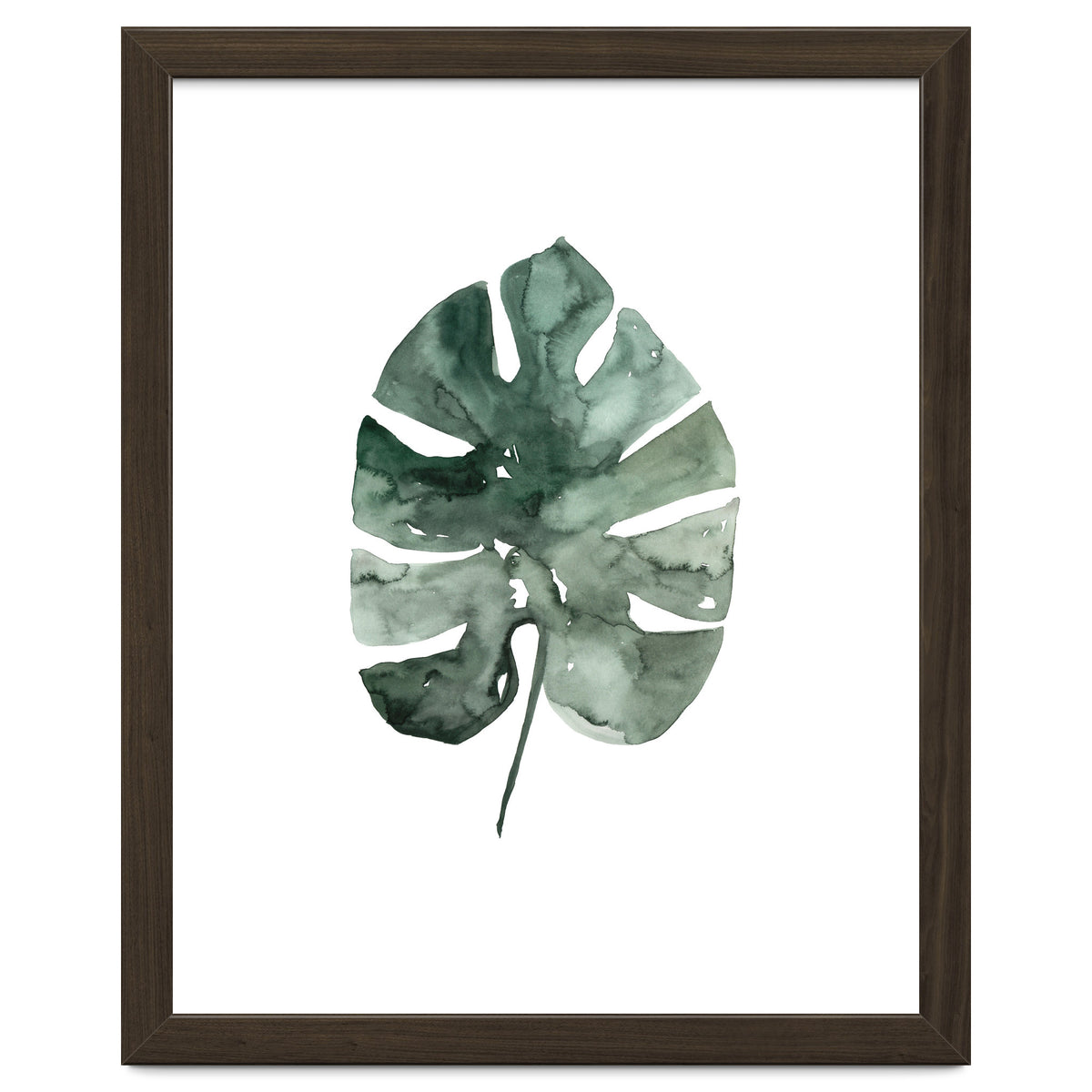 Botanical Illustration Monstera Leaf