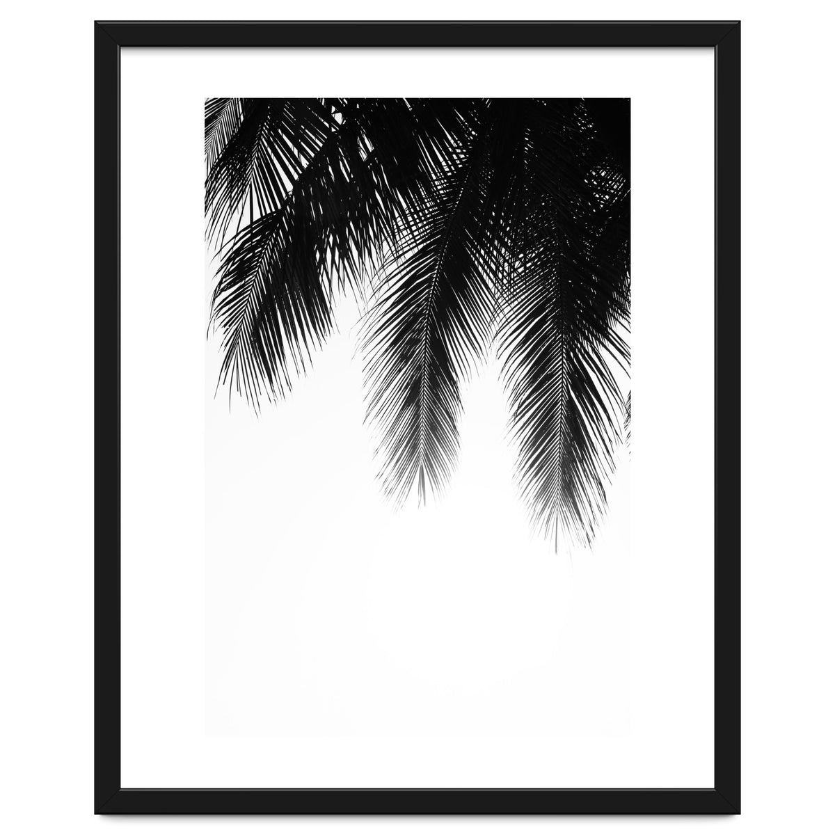 Palm leaves