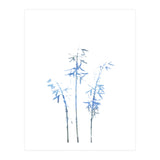 Blue Hosta (Print Only) thumbnail