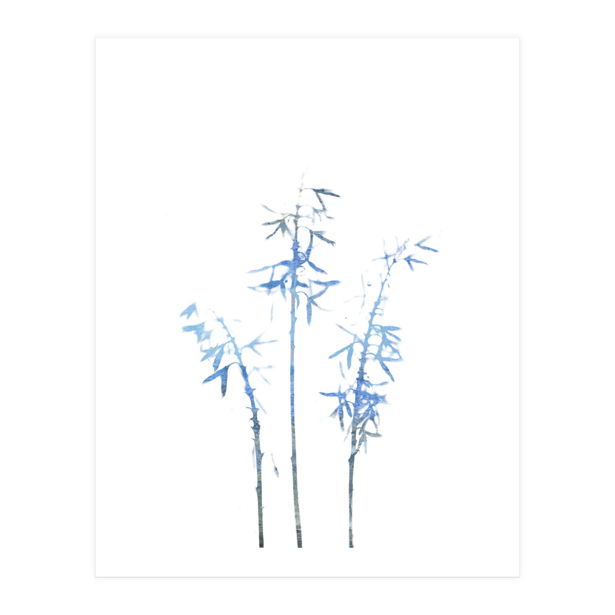 Blue Hosta (Print Only)