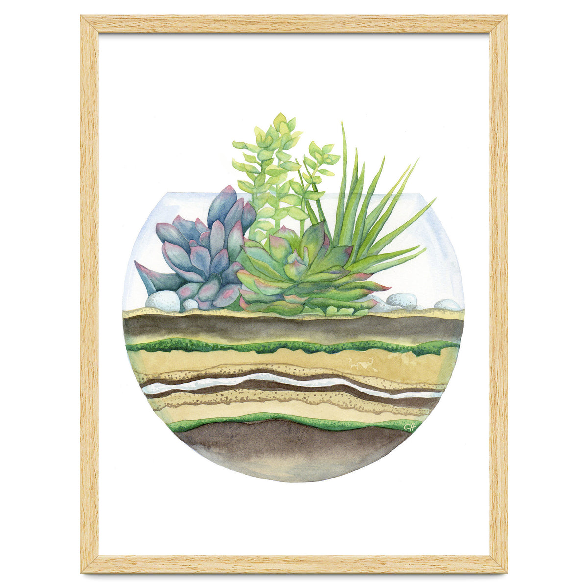 A Little Green Terrarium