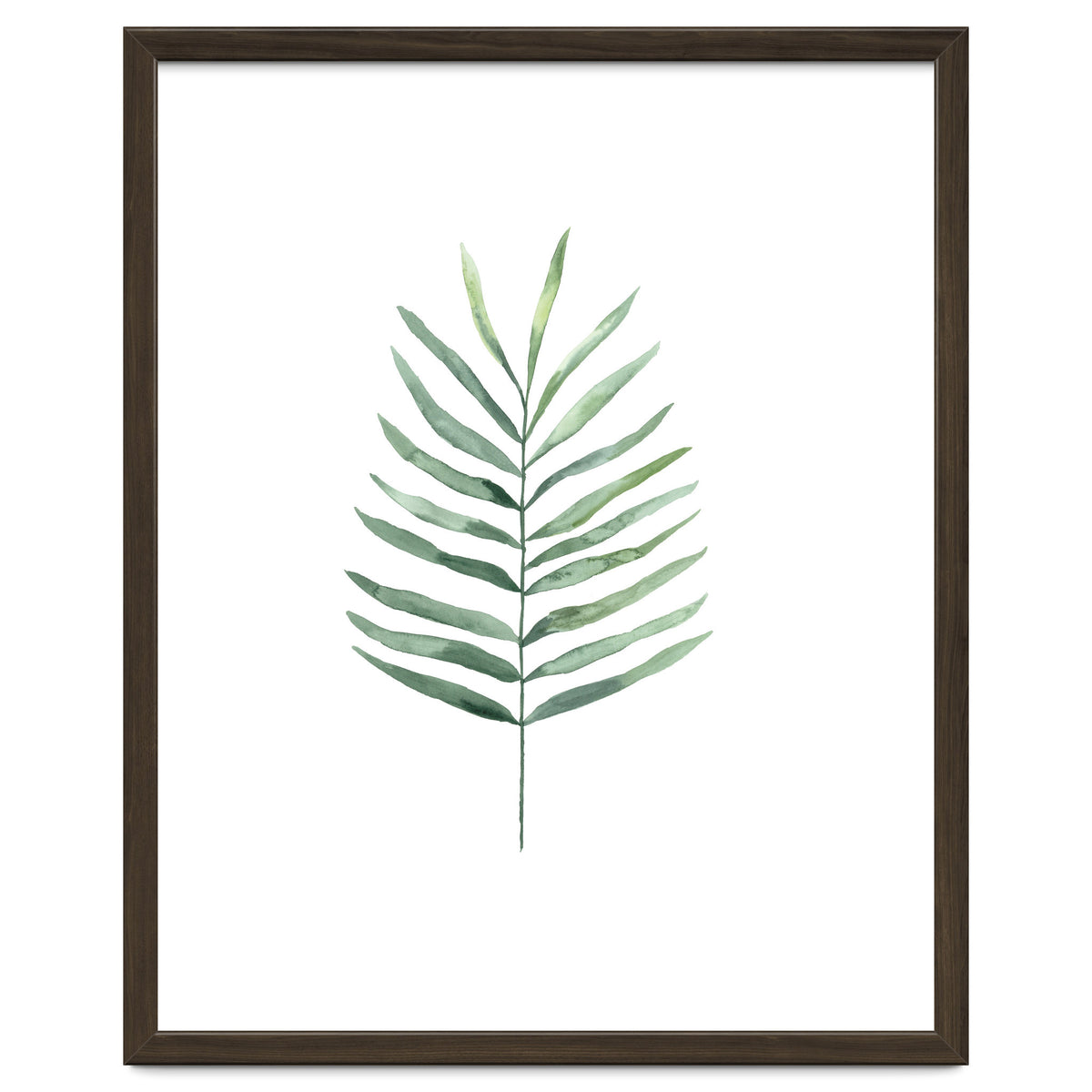 Botanical Illustration Fern