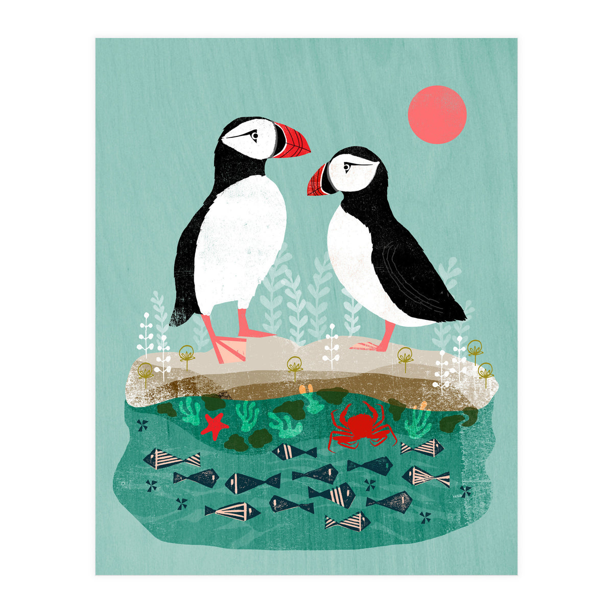Puffin (Print Only)
