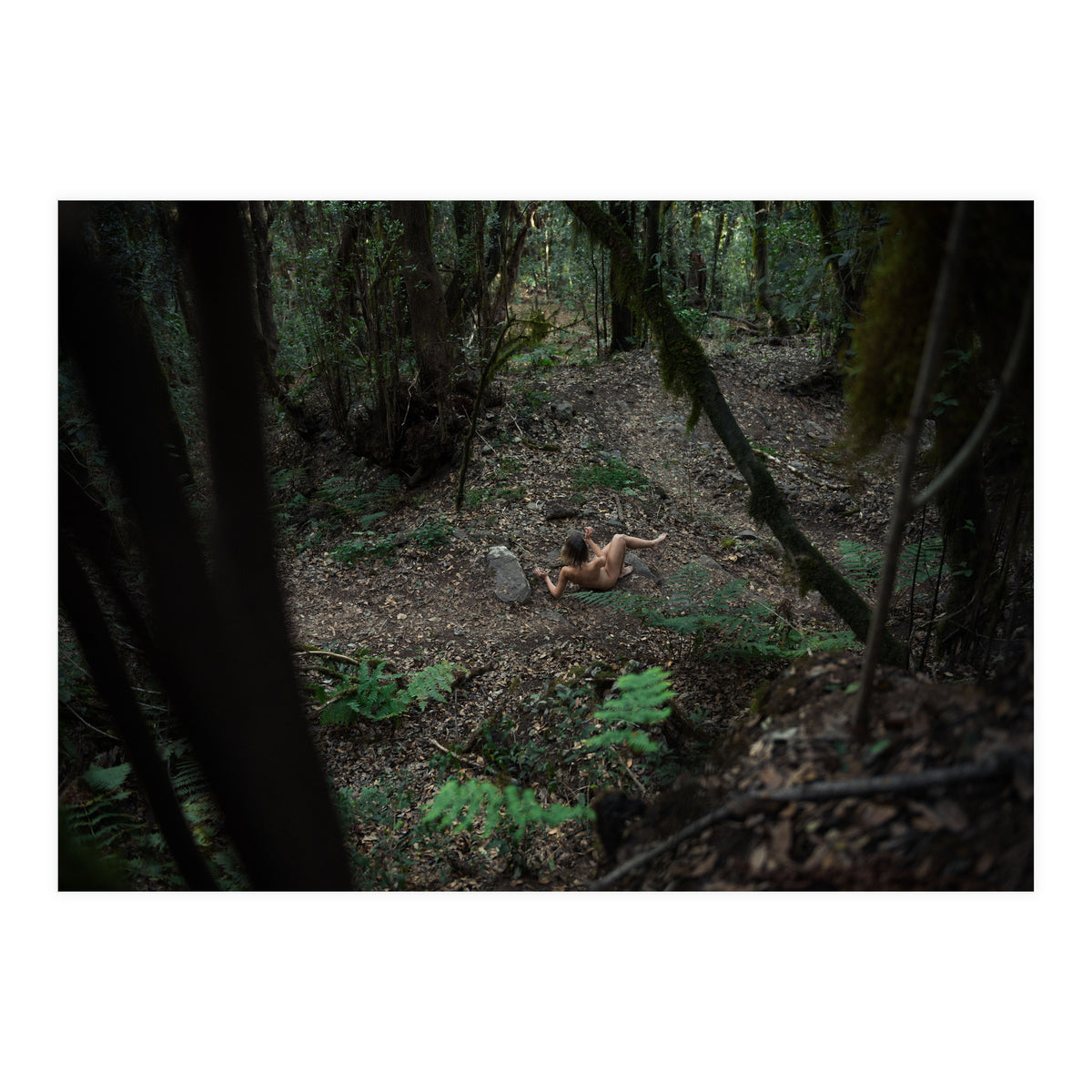 Into the Wild (Print Only)