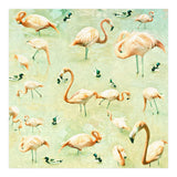 Flamingos (Print Only) thumbnail