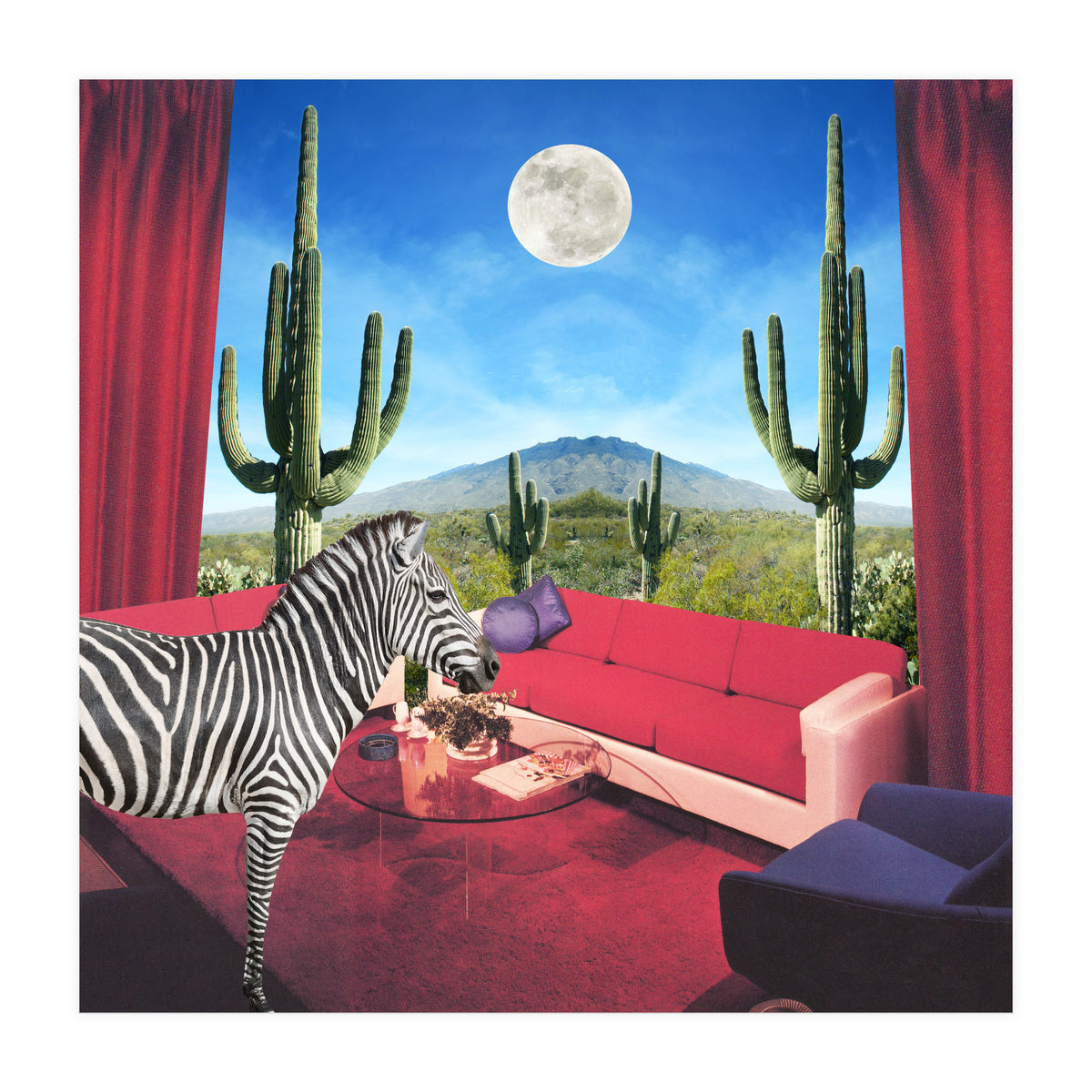 Saguaro Stripes (Print Only)
