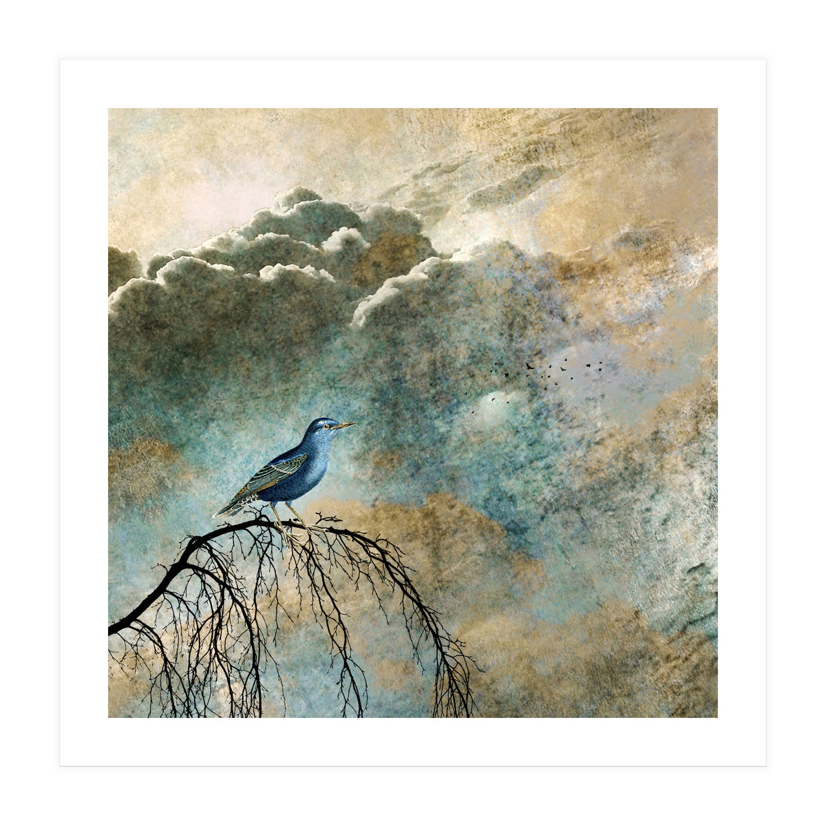 HEAVENLY BIRD IIa (Print Only)