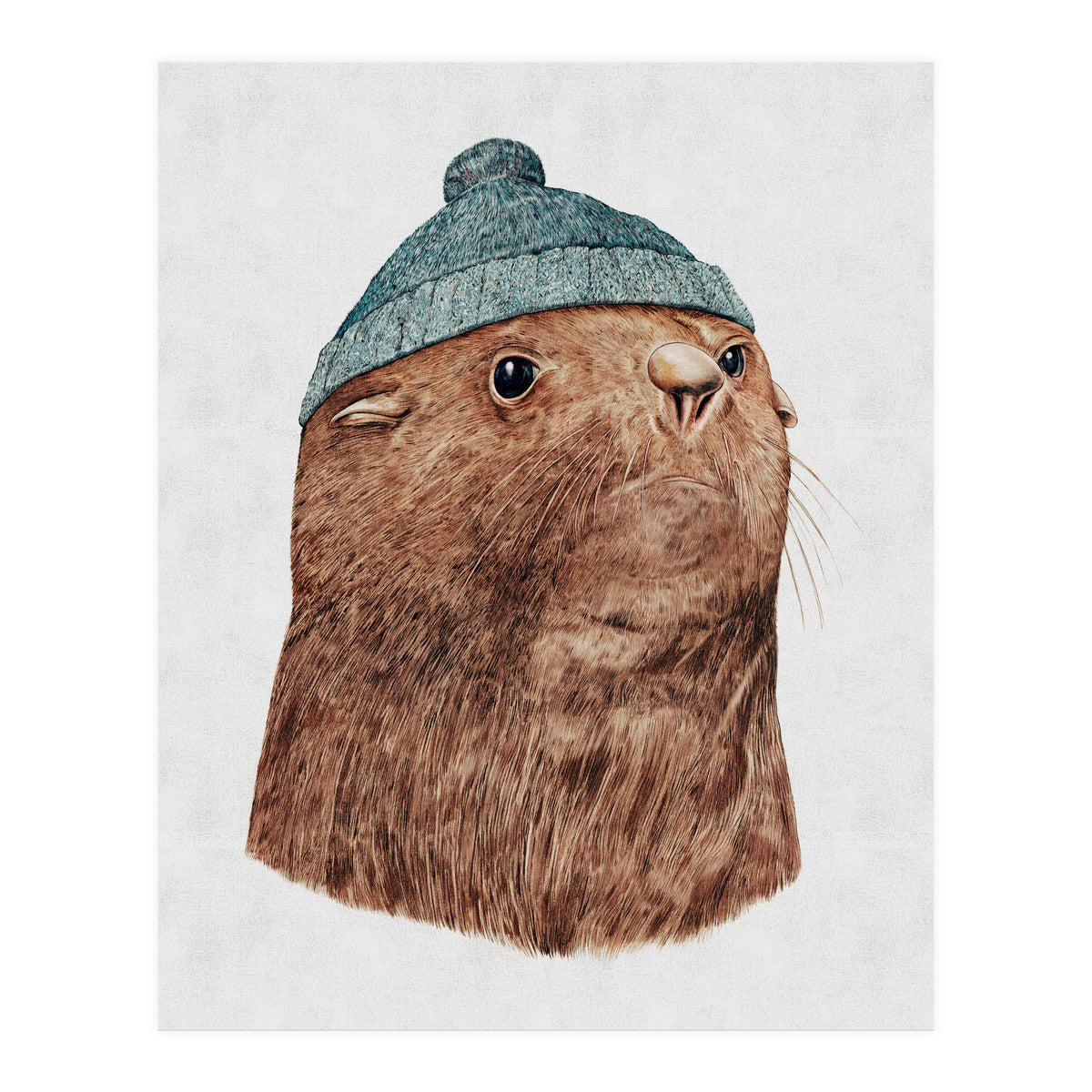 The Fur Seal (Print Only)