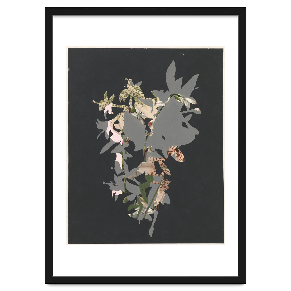 The First Plant · Black