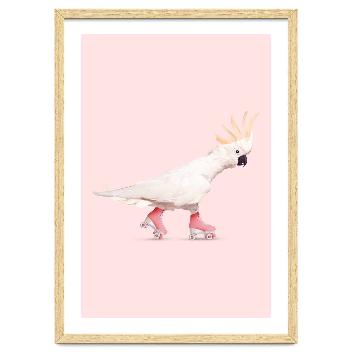 Rollerskating Cockatoo