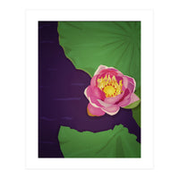 Water lily (Print Only)