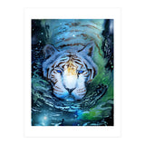 Galaxy Swim (Print Only) thumbnail