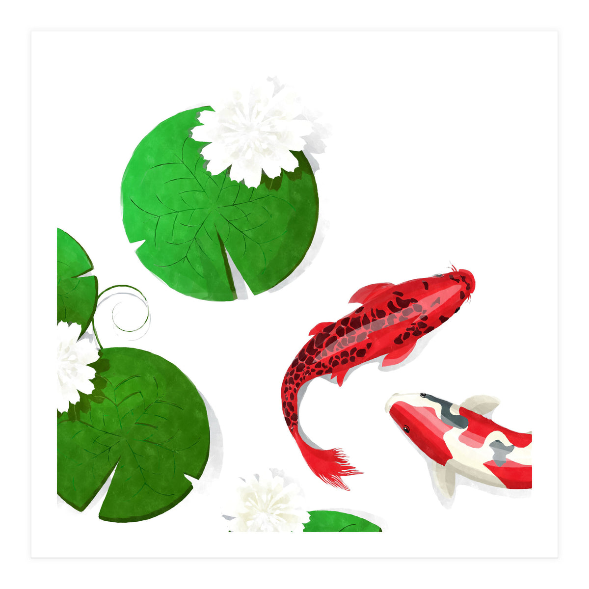 Watercolor Koi Fish Background (Print Only)