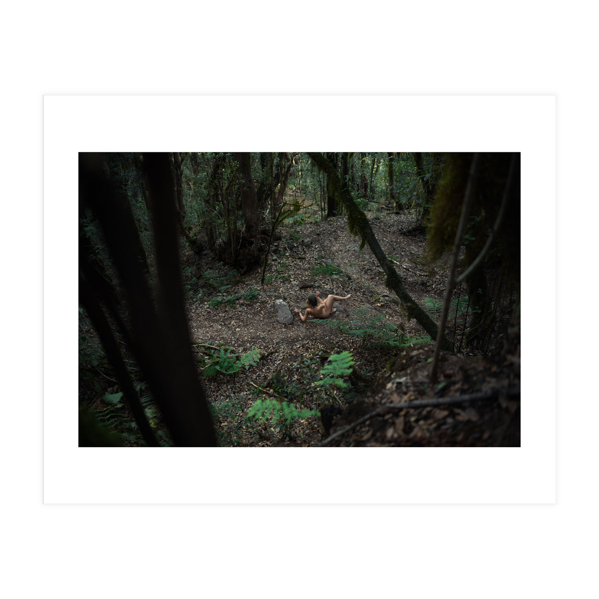 Into the Wild (Print Only)