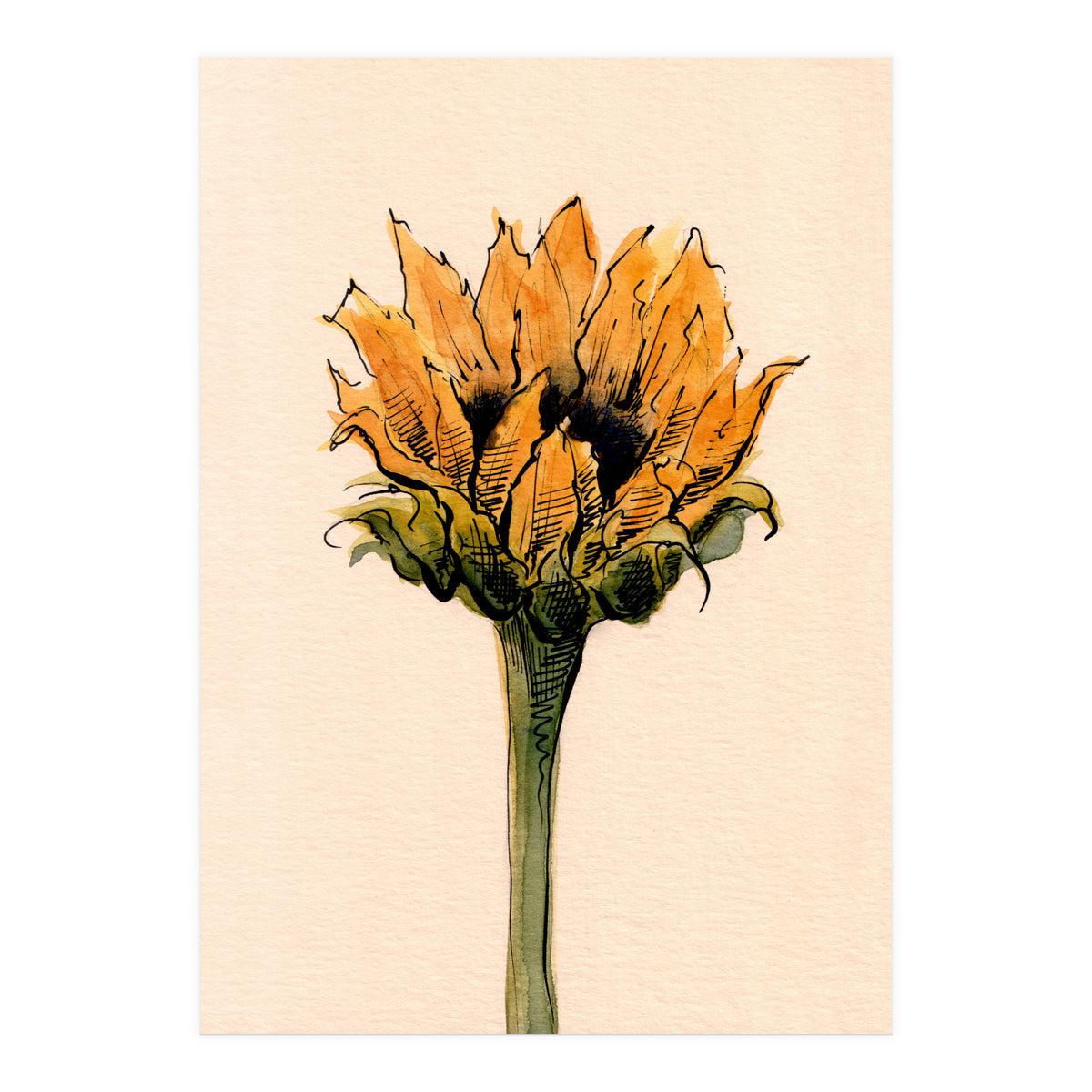 Sunflower (Print Only)