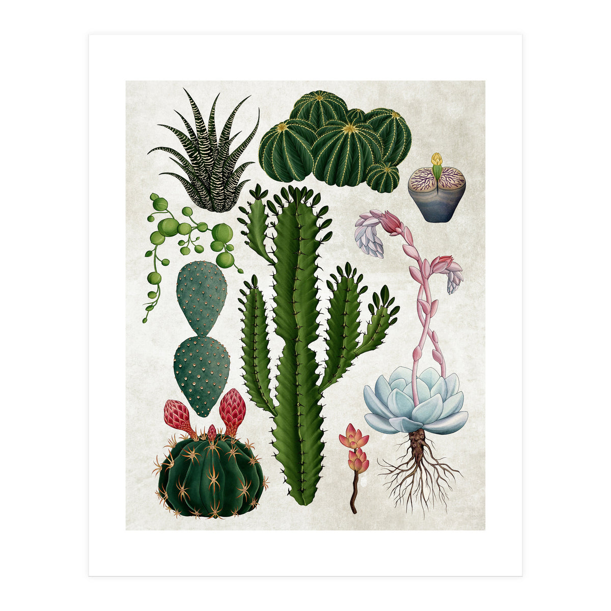 botanical (Print Only)