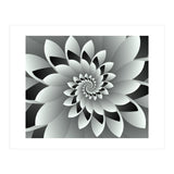 Black & White Floral (Print Only) thumbnail
