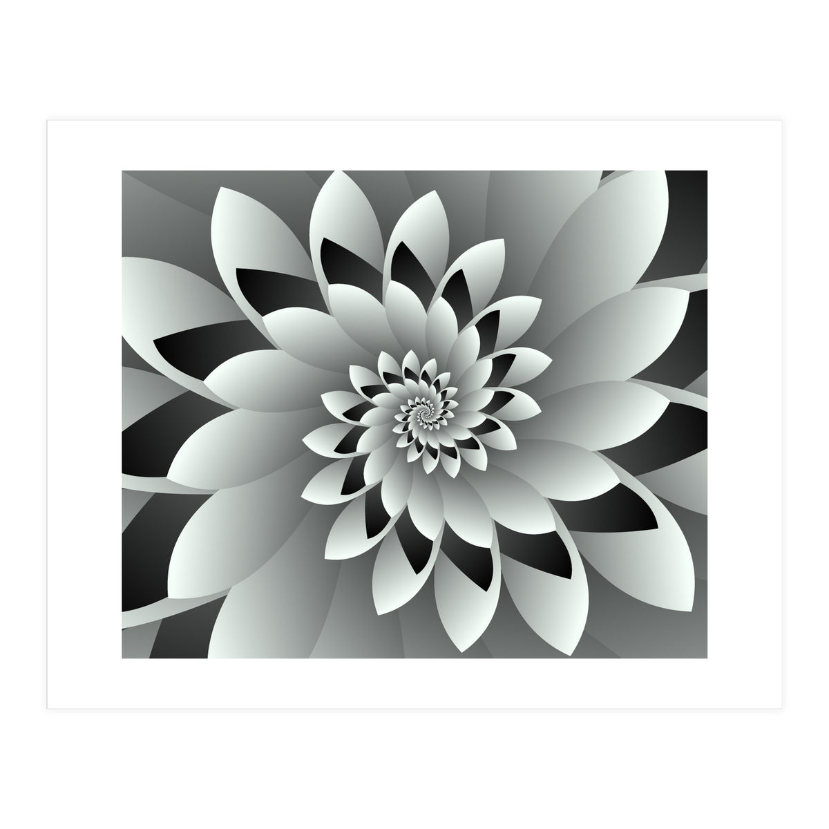 Black & White Floral (Print Only)