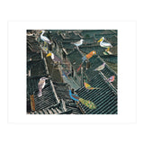 Bird Town (Print Only) thumbnail