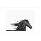 Dark Horse (Print Only) thumbnail
