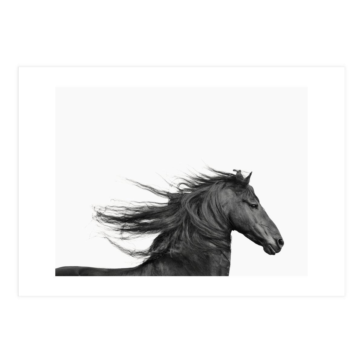 Dark Horse (Print Only)