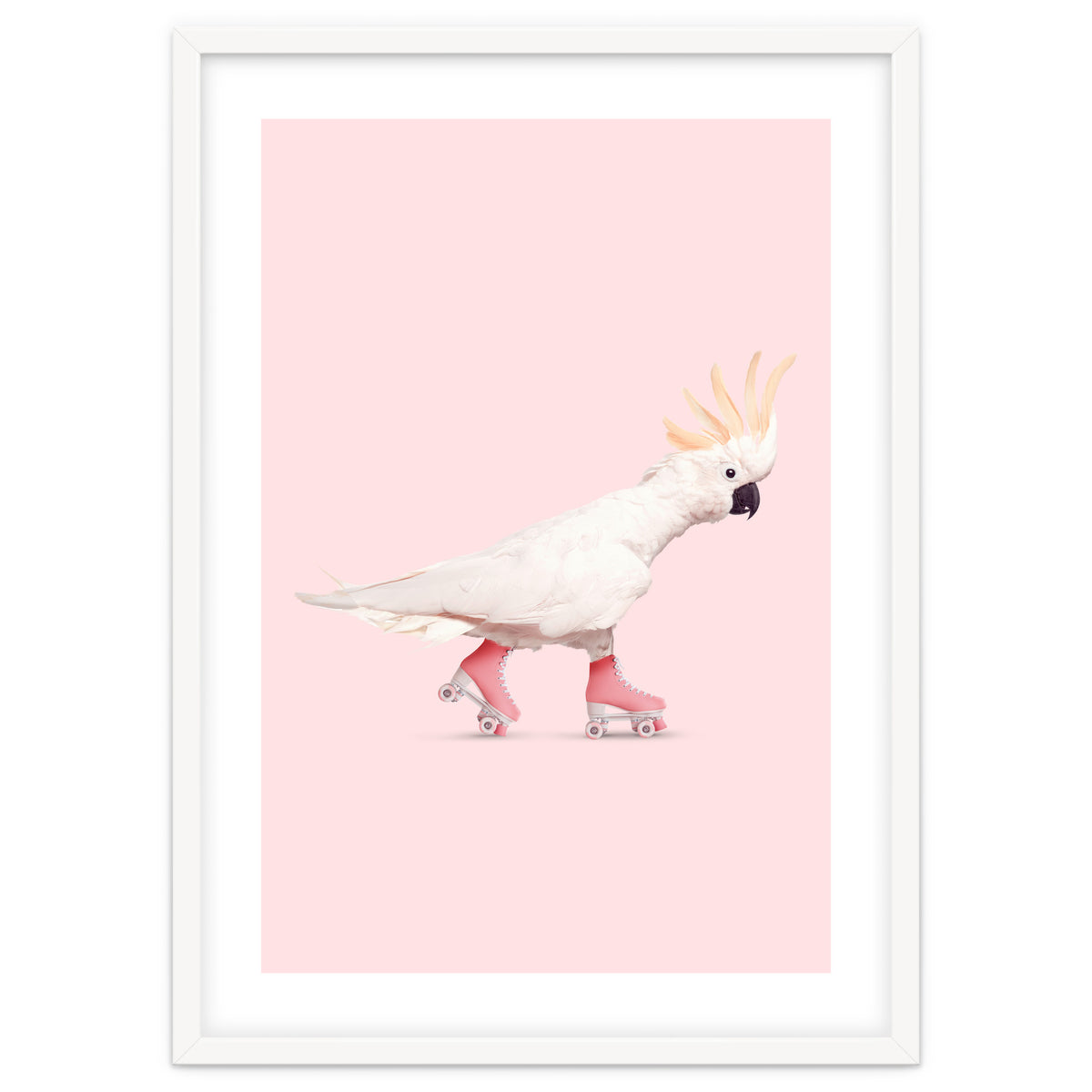 Rollerskating Cockatoo