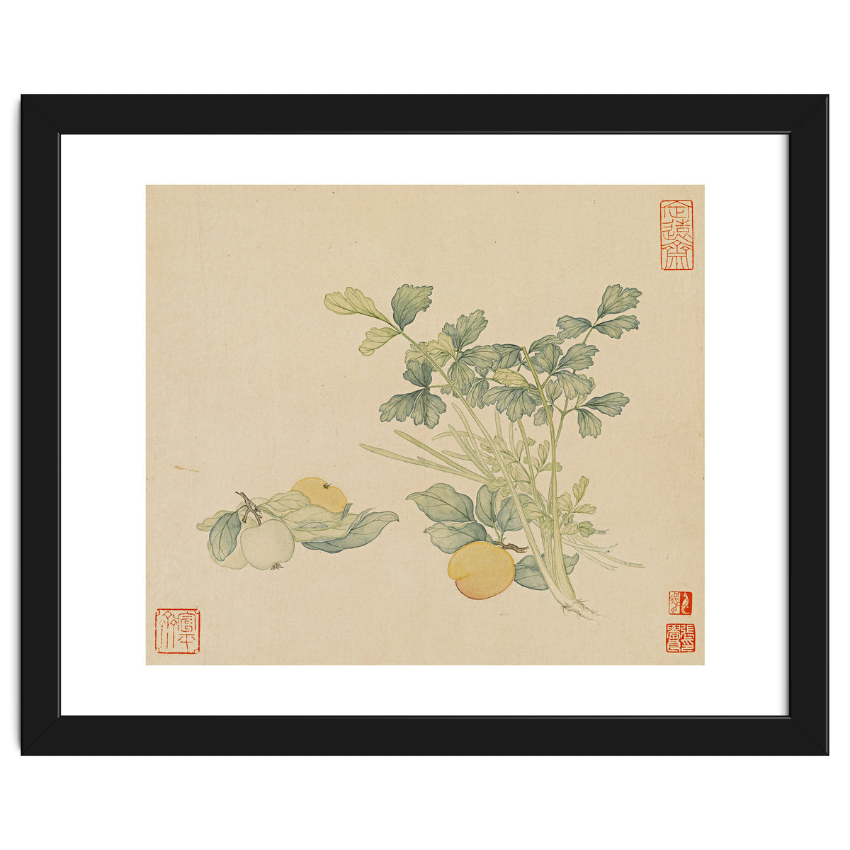 Wang Chengyu~flowers And Vegetables, Vegetables, Fruits, Plums, Apricots, Celery