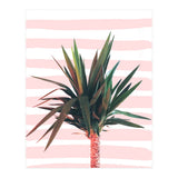 Dreamer (Print Only) thumbnail