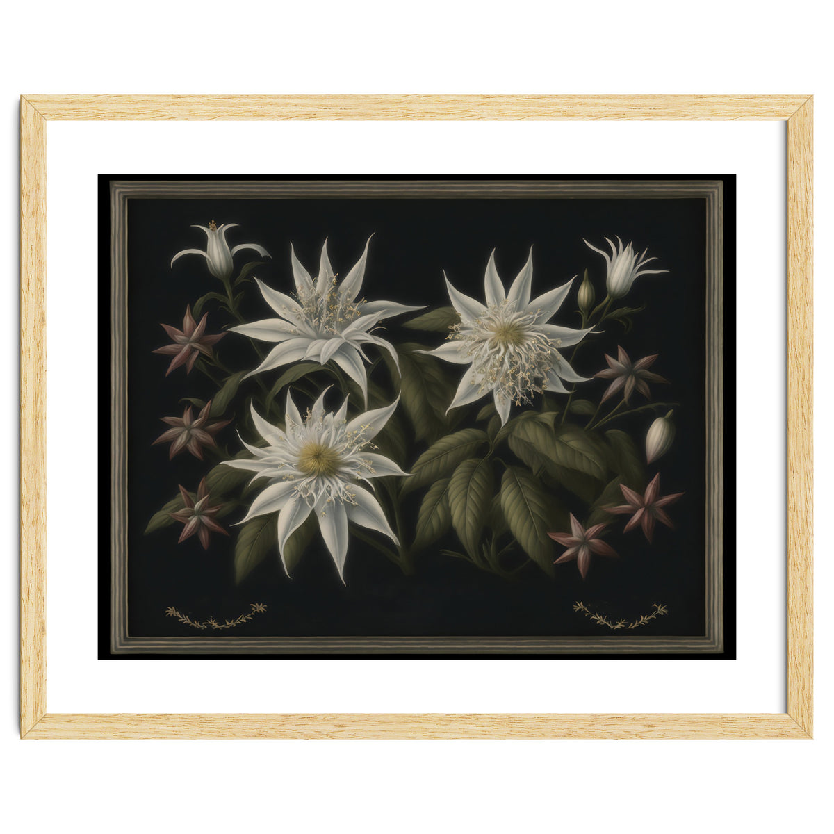 Edelweiss Vintage Illustration