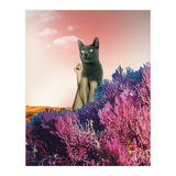 Atmosphere · The Funny Side (Print Only) thumbnail
