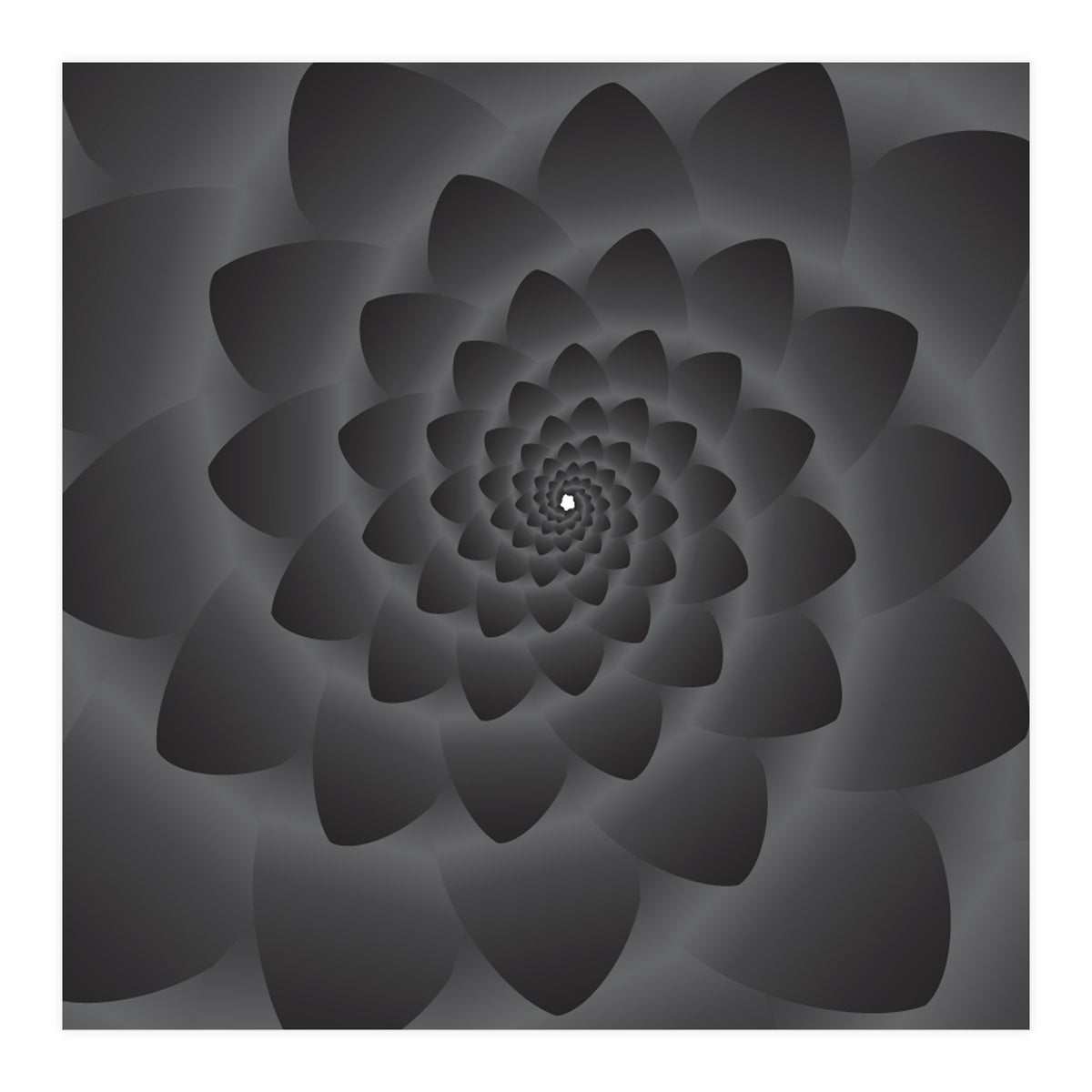 3 D Modern Black Floral (Print Only)