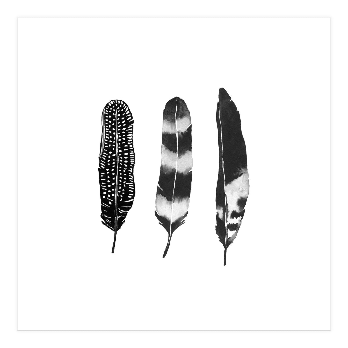 Dark Feather (Print Only)
