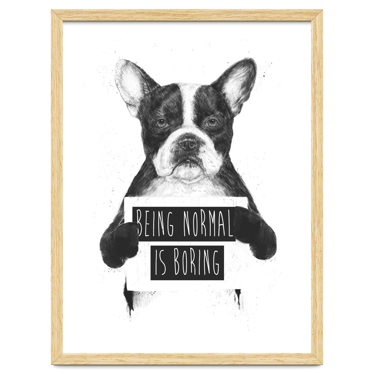 Being Normal Is Boring